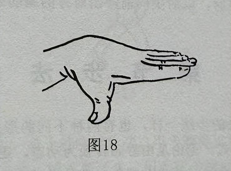 爪的读音_爪组词_爪