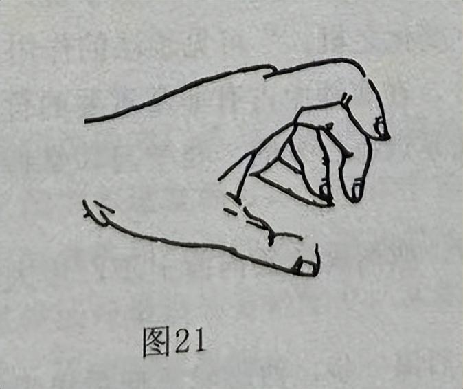 爪组词_爪的读音_爪