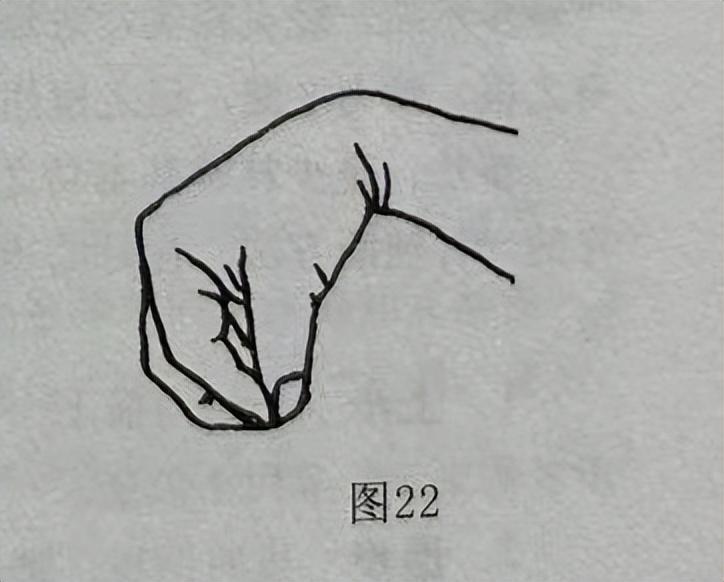 爪的读音_爪_爪组词