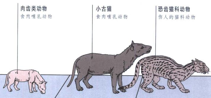 爪的读音_爪_爪组词