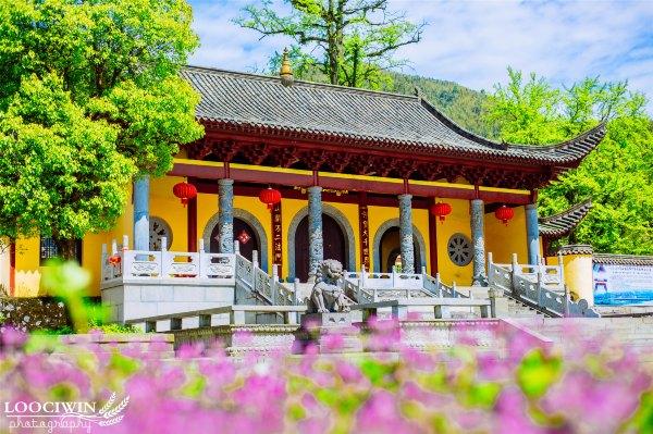 仰山栖隐寺_江西仰山栖隐禅寺旧迹_仰山栖隐寺现任法师