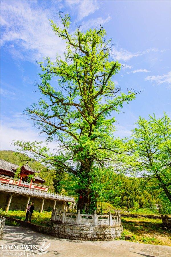 仰山栖隐寺_仰山栖隐寺现任法师_江西仰山栖隐禅寺旧迹