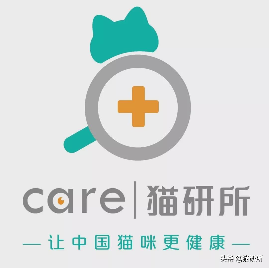 爪_爪的读音_爪组词