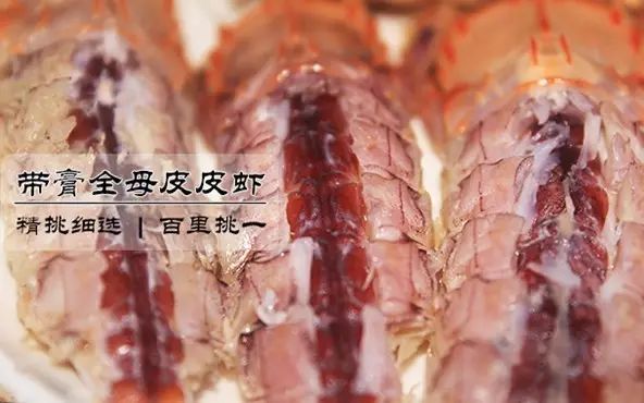 正当杀人_正当防卫过当_正当