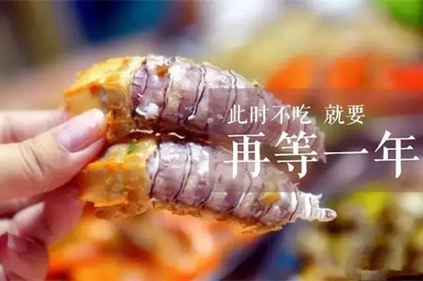 正当防卫过当_正当杀人_正当
