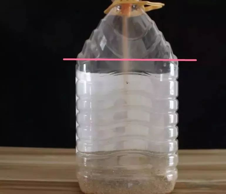 羡煞旁人和羡煞旁人_羡煞旁人_羡煞旁人意思