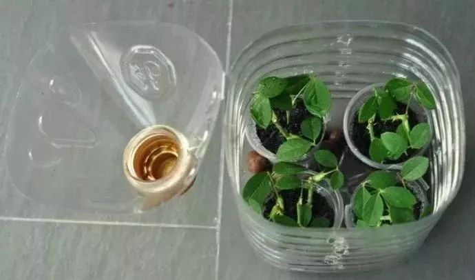 羡煞旁人_羡煞旁人和羡煞旁人_羡煞旁人意思