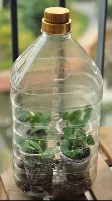 羡煞旁人和羡煞旁人_羡煞旁人_羡煞旁人意思