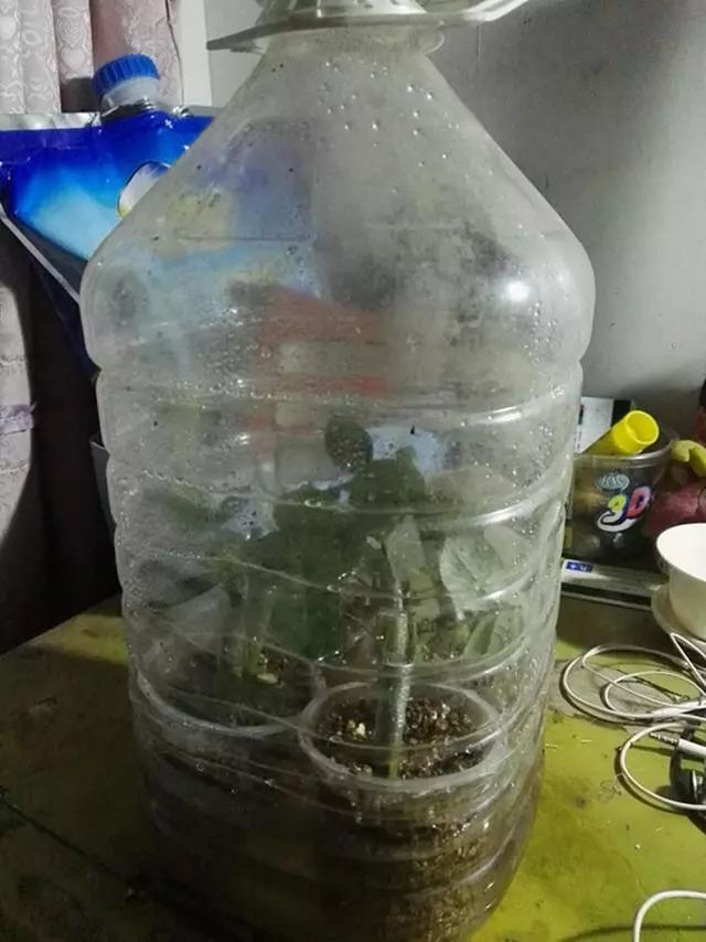 羡煞旁人意思_羡煞旁人和羡煞旁人_羡煞旁人
