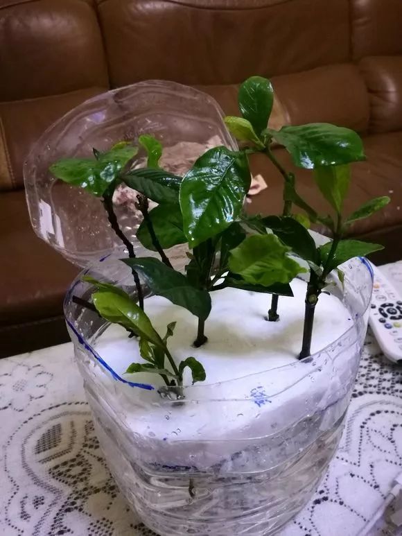 羡煞旁人_羡煞旁人和羡煞旁人_羡煞旁人意思