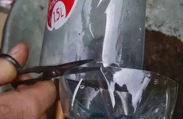 羡煞旁人意思_羡煞旁人和羡煞旁人_羡煞旁人