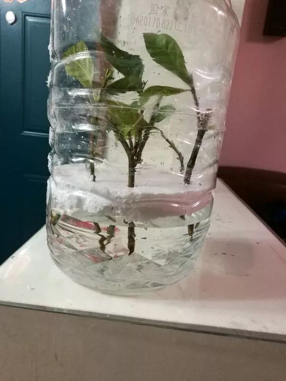羡煞旁人意思_羡煞旁人和羡煞旁人_羡煞旁人