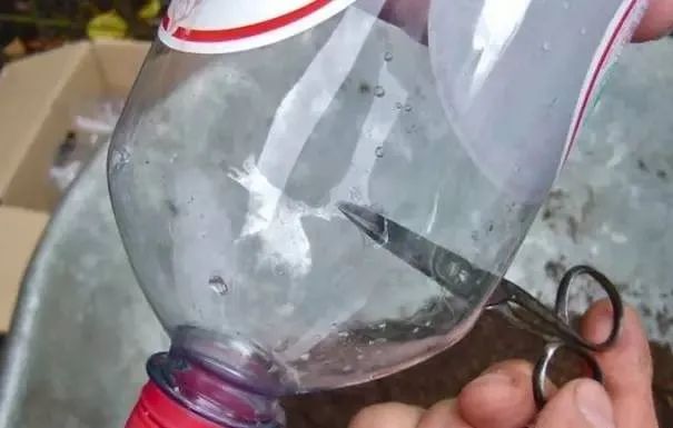 羡煞旁人意思_羡煞旁人和羡煞旁人_羡煞旁人