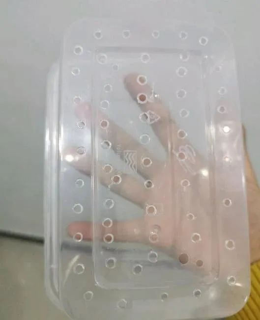 羡煞旁人和羡煞旁人_羡煞旁人意思_羡煞旁人