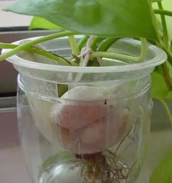 羡煞旁人意思_羡煞旁人和羡煞旁人_羡煞旁人