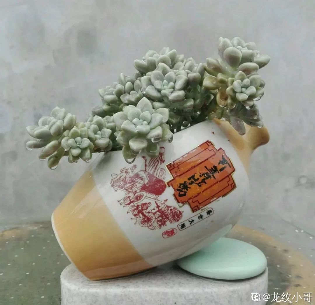 羡煞旁人意思_羡煞旁人和羡煞旁人_羡煞旁人
