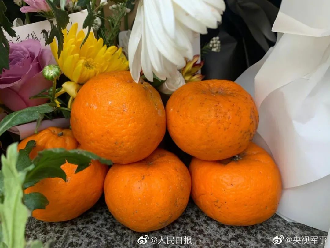 sacrificed_sacrificed翻译_sacrificed怎么读