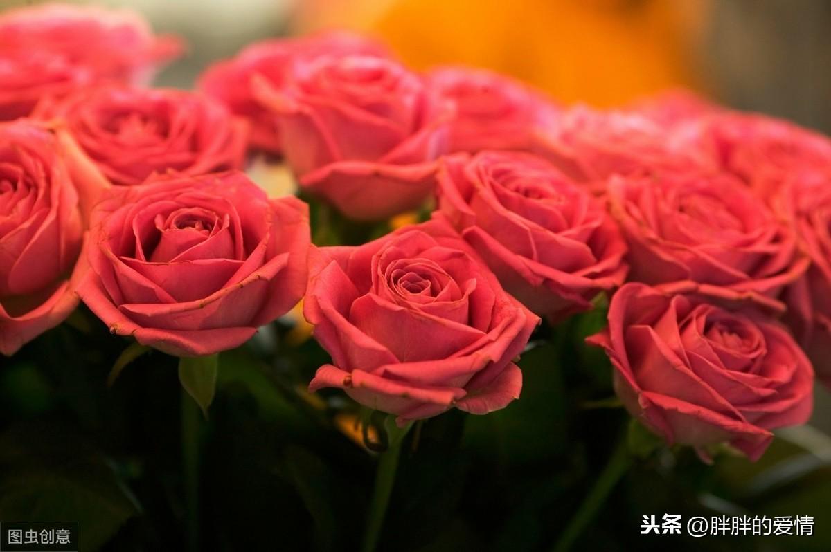 众的繁体字_众的拼音_与众不同