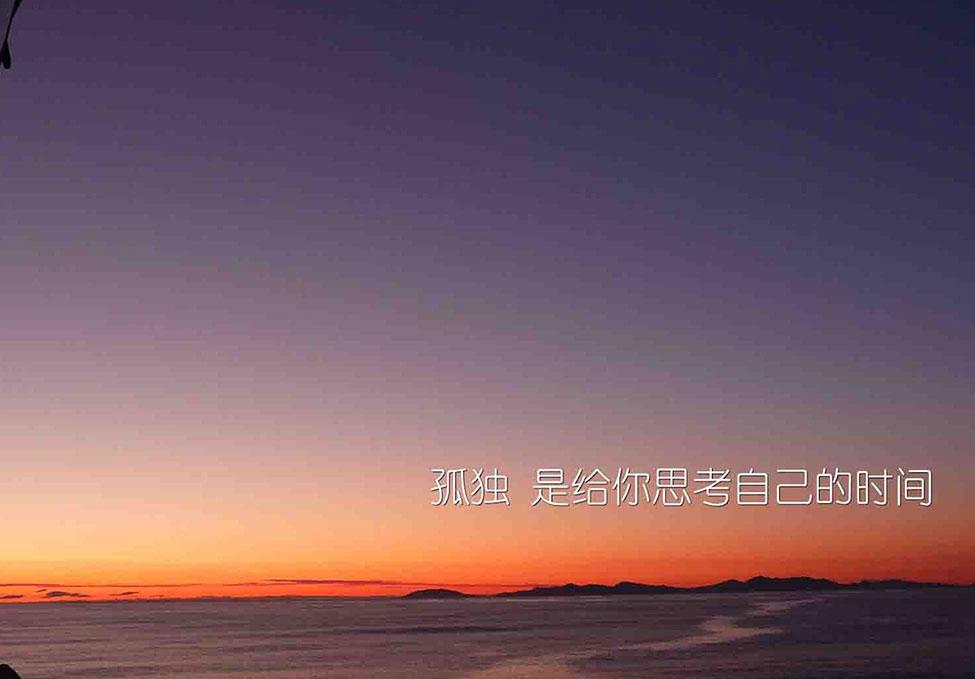 众安贷_众安保险_与众不同