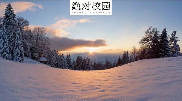 嗜痂之癖_嗜痂之癖_嗜痂之癖