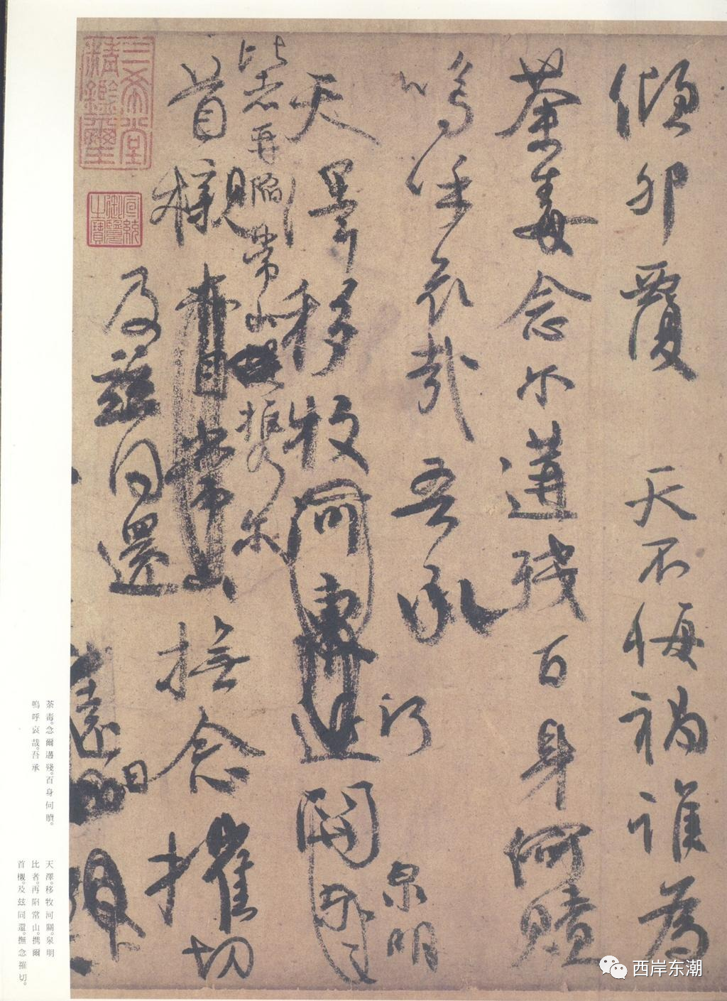 嗜痂之癖_嗜痂之癖_嗜痂之癖