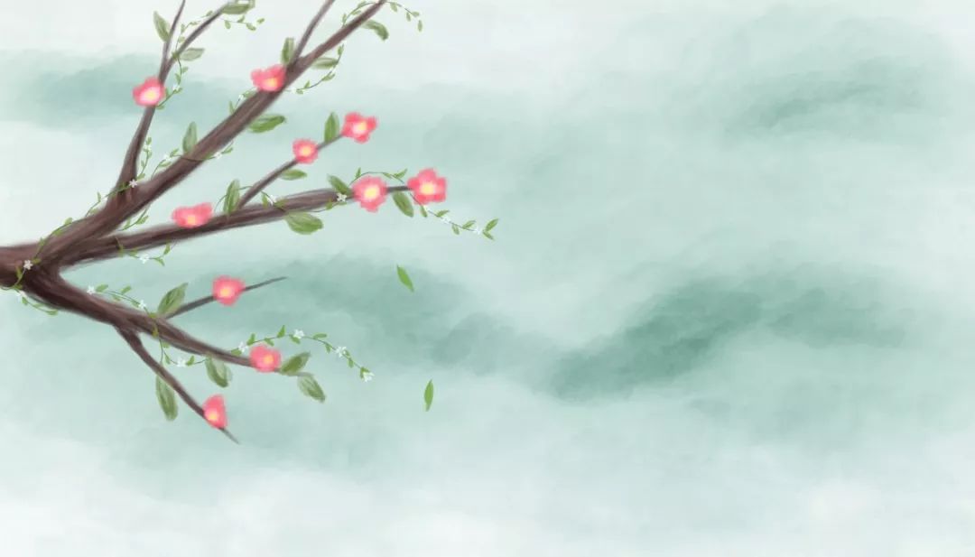梨花带雨_梨花雨带泪梨花_梨花雨带泪
