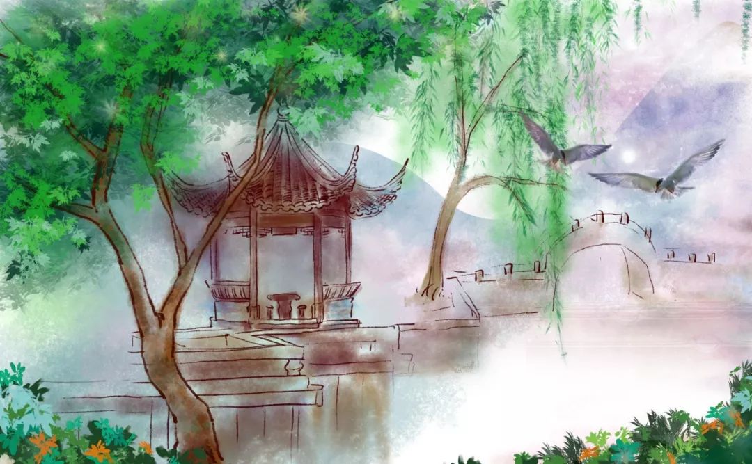 梨花雨带泪_梨花雨带泪梨花_梨花带雨