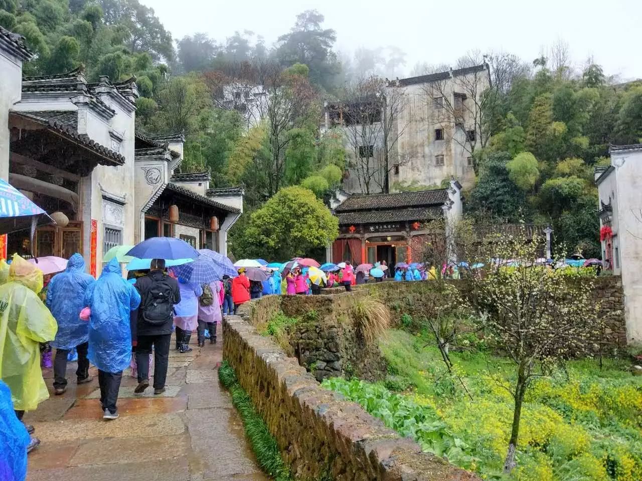 梨花雨带泪梨花_梨花雨带手铐脚链_梨花带雨