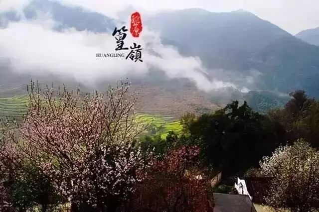 梨花雨带泪梨花_梨花带雨_梨花雨带手铐脚链