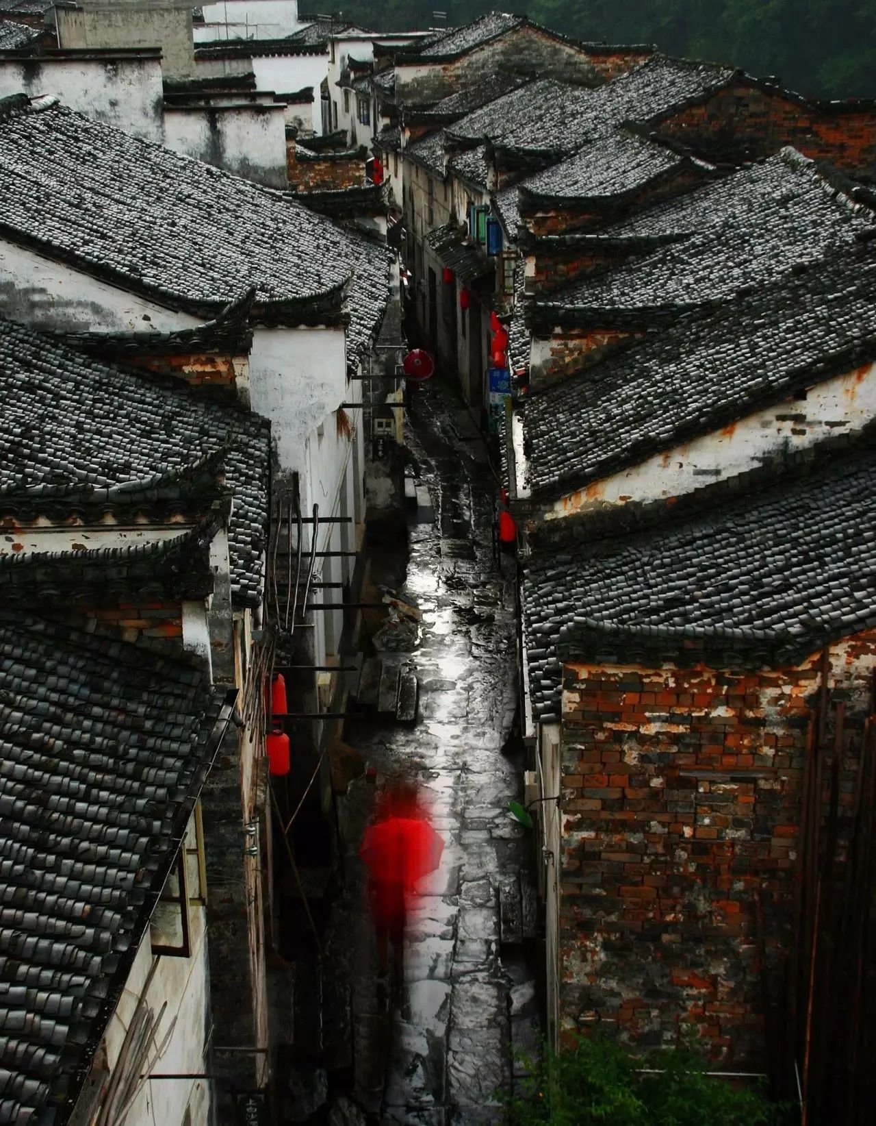 梨花雨带泪梨花_梨花雨带手铐脚链_梨花带雨