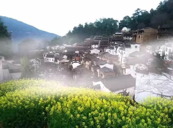 梨花雨带手铐脚链_梨花雨带泪梨花_梨花带雨