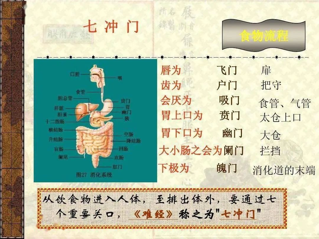 嗜痂之癖_嗜痂之癖_嗜痂之癖