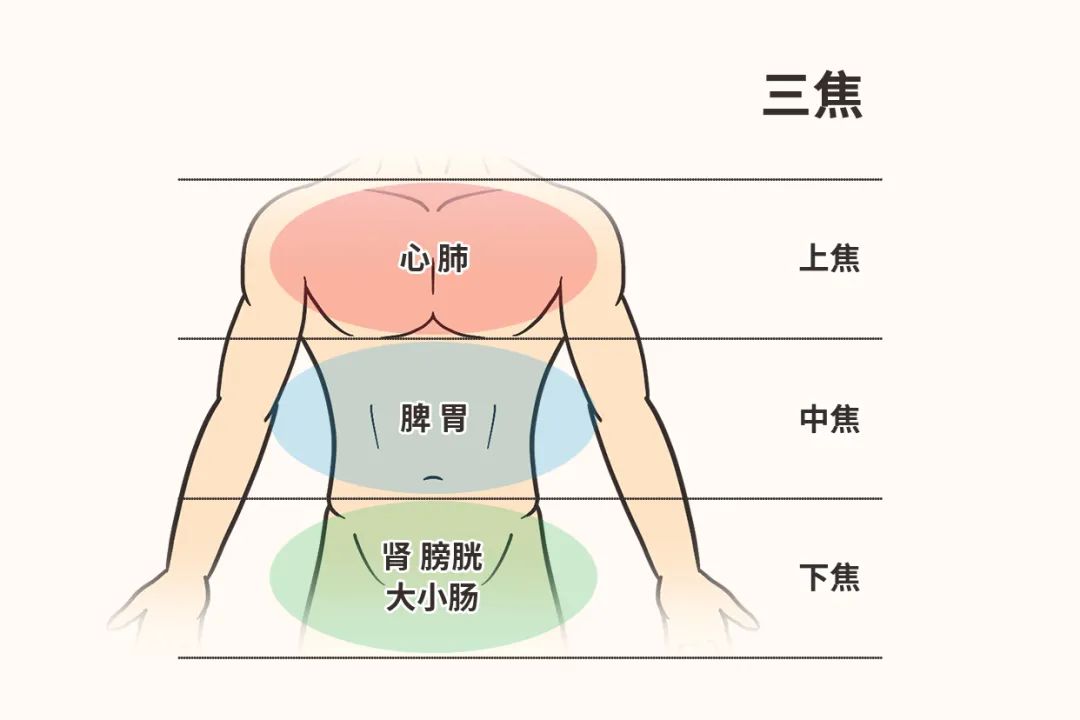 嗜痂之癖_嗜痂之癖_嗜痂之癖