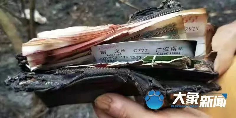 梦断情楼电视剧_梦断红楼_梦断
