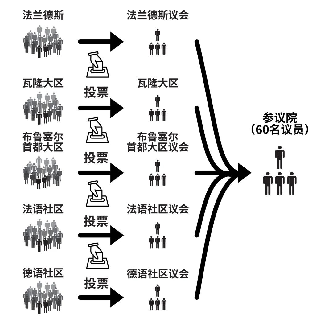 suffrage_suffrage怎么记忆_suffrage是什么意思