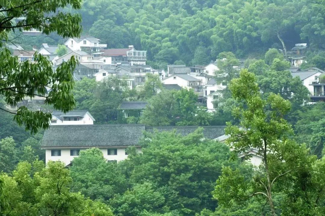 湖西子妹制造人是谁_湖西子妹制造人_西子湖