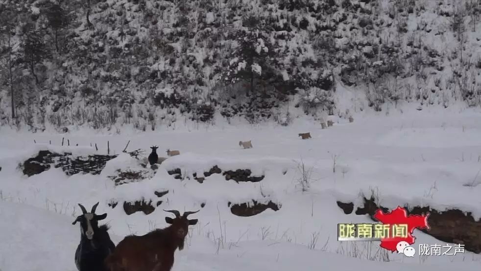 大雪封山三十年麦词_大雪封山的意思_大雪封山