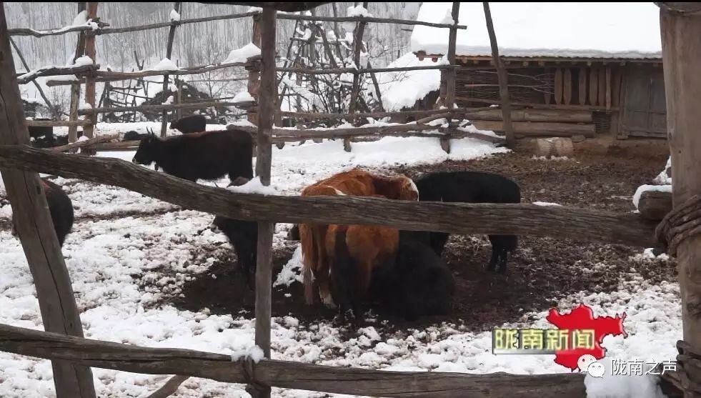 大雪封山三十年麦词_大雪封山的意思_大雪封山