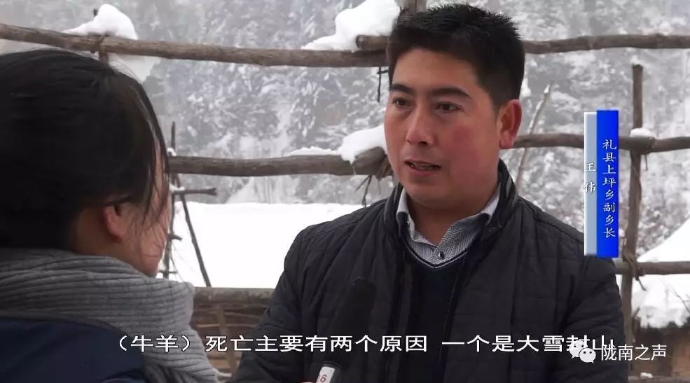 大雪封山的意思_大雪封山三十年麦词_大雪封山
