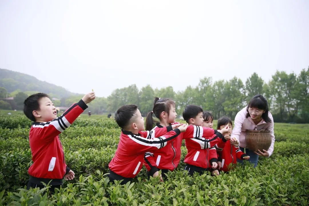 湖西子妹制造人是谁_西子湖_湖西子妹制造人