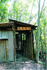 冷热病_冷热病是什么症状_冷热病又称痢疾还是疟疾