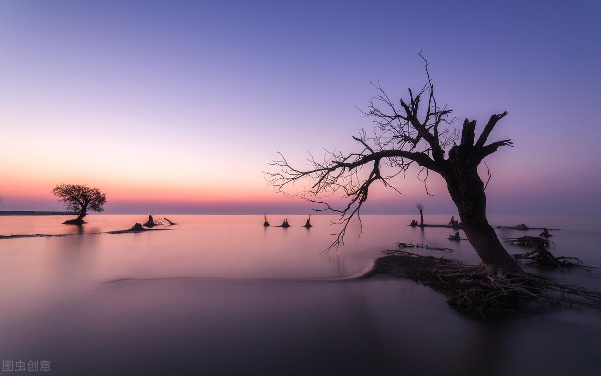 宁静以致远_宁静致远是什么意思_宁静致远楷书