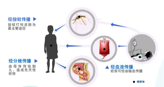 冷热病是什么症状_冷热病是什么意思_冷热病
