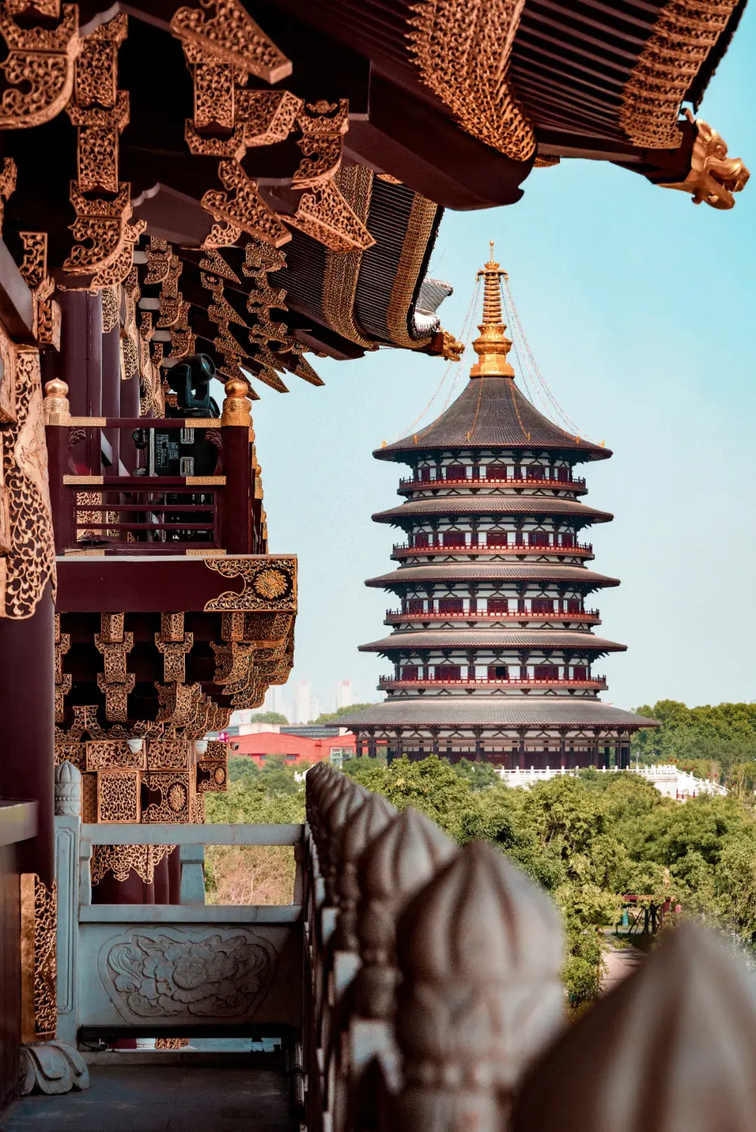 朝_朝_朝