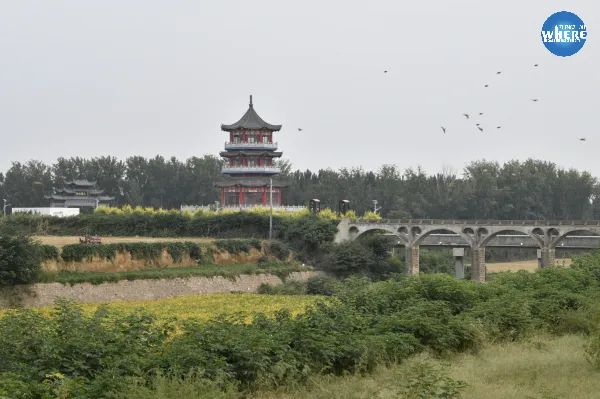 reveal_reveals_reveals是什么意思