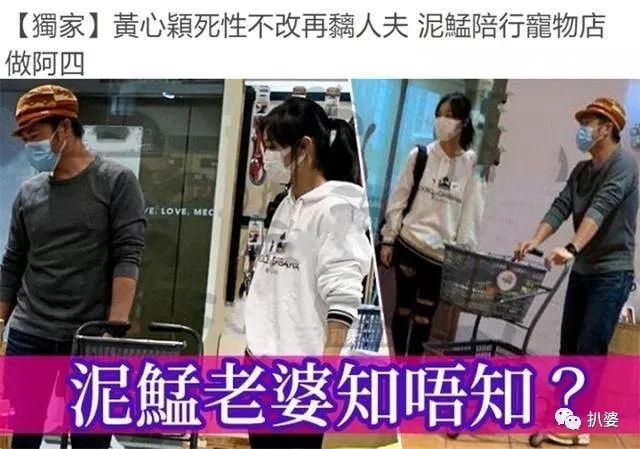 是的拼音_是_是先有鸡还是先有蛋