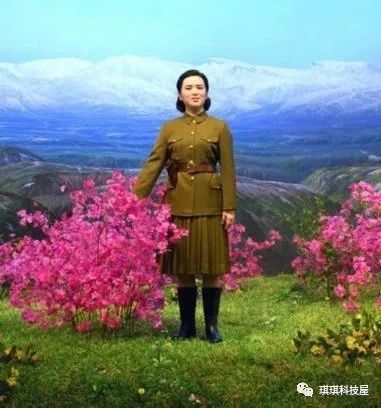 金正淑_金正淑_金正淑