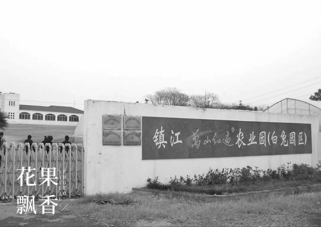 糜言_糜_糜玉