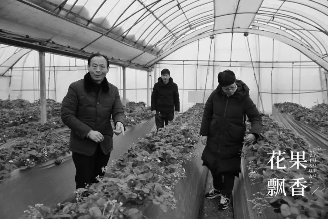 糜玉_糜言_糜