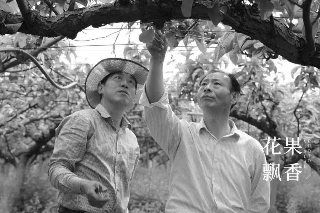 糜言_糜玉_糜